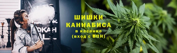 индика Михайлов