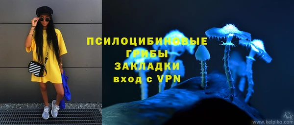 ГАЛЛЮЦИНОГЕННЫЕ ГРИБЫ Наволоки