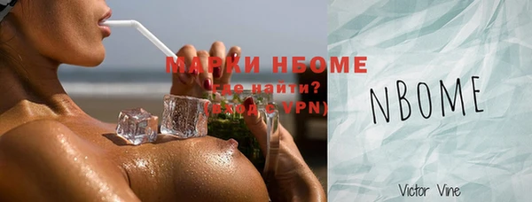 индика Михайлов