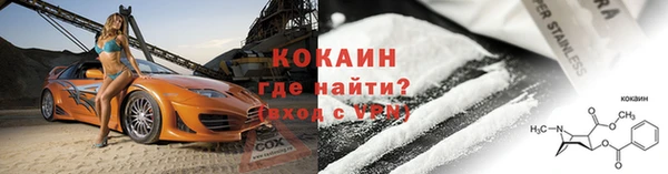 индика Михайлов