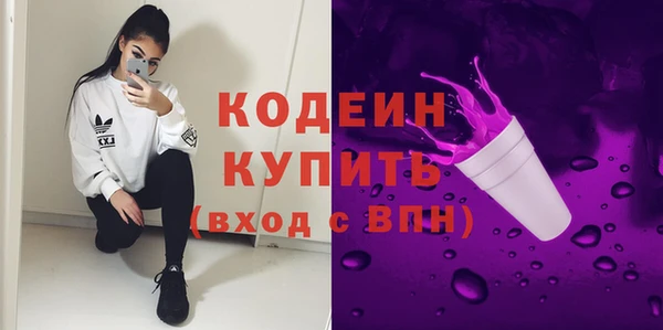 индика Михайлов