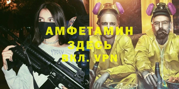 индика Михайлов