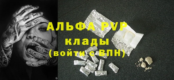 прущие грибы Надым