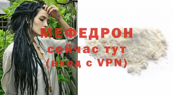 индика Михайлов