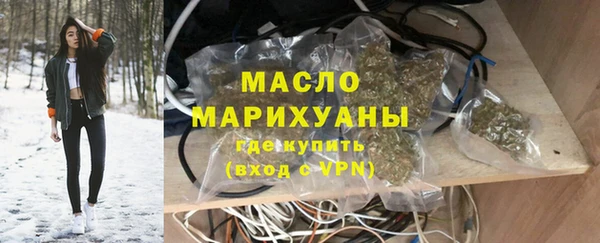 индика Михайлов