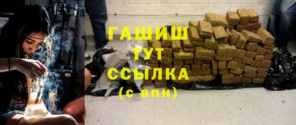 индика Михайлов