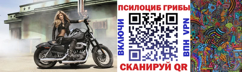 Псилоцибиновые грибы мицелий  наркотики  Нефтегорск 